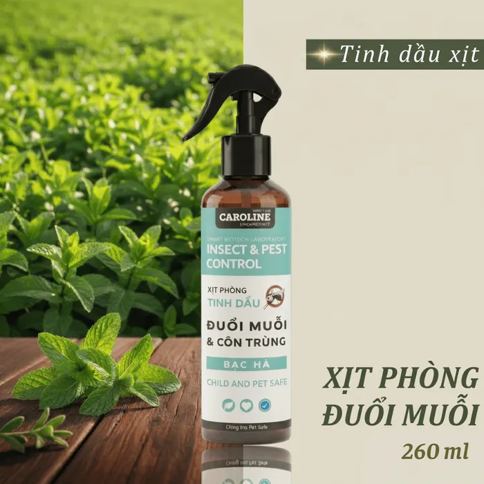 Xịt phòng đuổi muỗi Caroline 260ml
